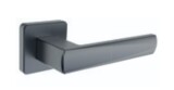 Türbeschläge ROSTEX EMONT/H mit Stiften (PLATINA MAT) - Rostex Platina mat