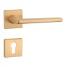 Türbeschläge MP AS - SETIA - HR 5S (OLS - Gebürstetes Messing)