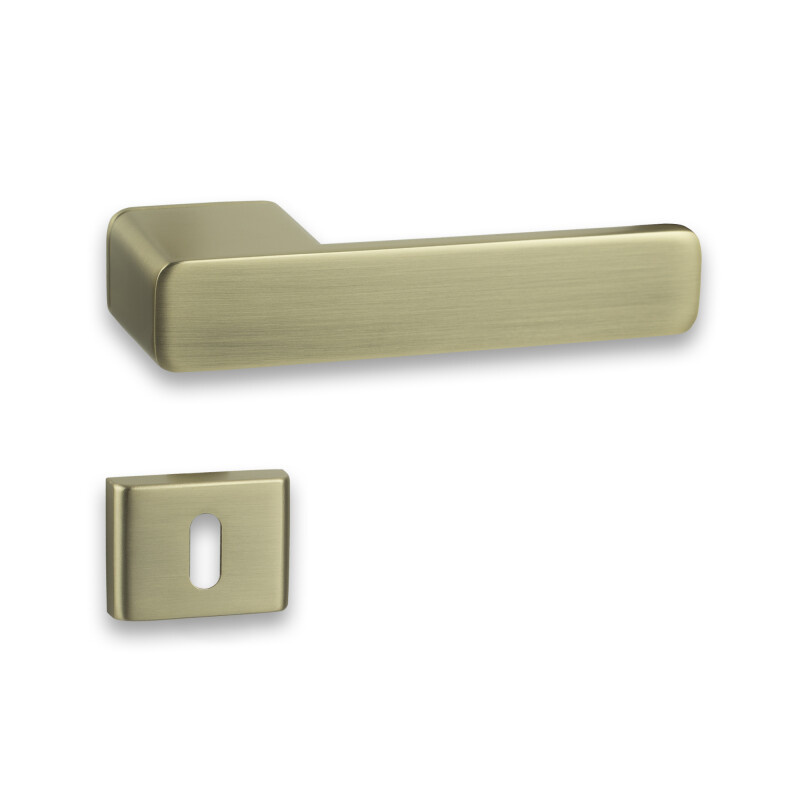 Türbeschläge COBRA STRIGA-S (GOLD MATT)