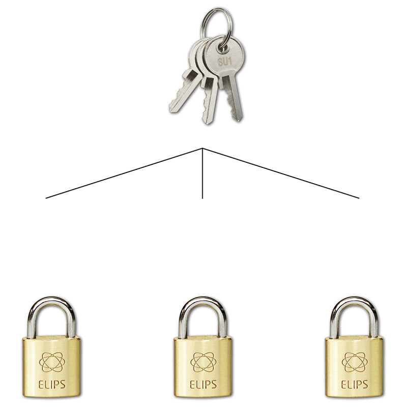 Vorhängeschloss für gemeinsamen Verschluss SU RICHTER RV.ELIPS.20.SU1