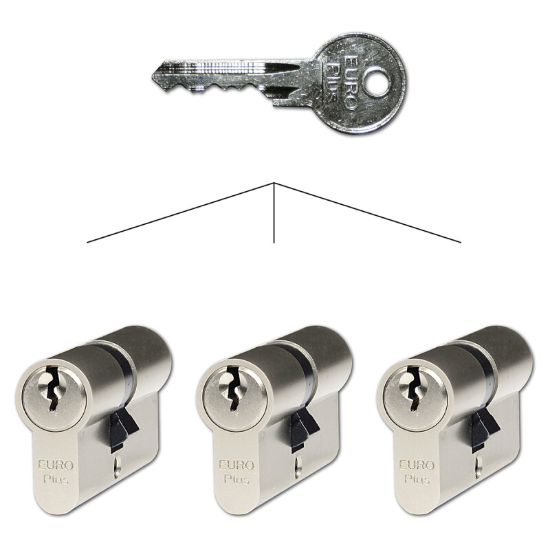 Satz mit 3 Richter EURO Plus Zylindereinsätzen SET3