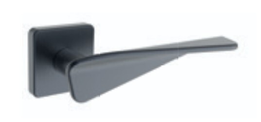 Türbeschläge ROSTEX VICENZA/H mit Stiften (PLATINA MAT)