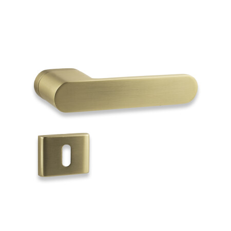 Türbeschlag COBRA OMEGA-S (gold matt)