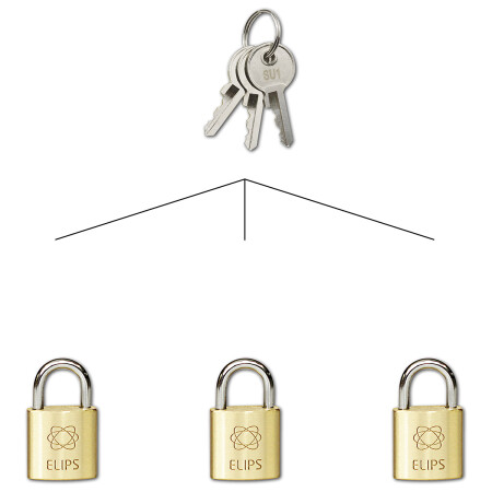 Vorhängeschloss für gemeinsamen Verschluss SU RICHTER RV.ELIPS.20.SU1