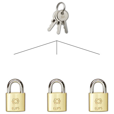 Vorhängeschloss für gemeinsamen Verschluss - SU RICHTER RV.ELIPS.25.SU1