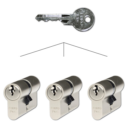 Satz mit 3 Richter EURO Plus Zylindereinsätzen SET3