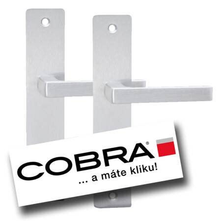 Schutzbeschlag COBRA TOWER H mit Abdeckung und eckigem Drücker (F1 - silber eloxiert)
