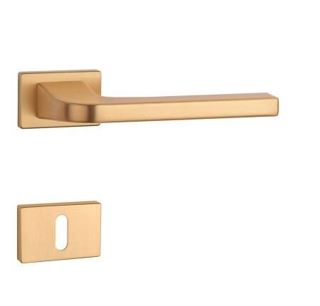 Türbeschläge MP AS - ISMENA - RT 7S (OLS - Gebürstetes Messing)
