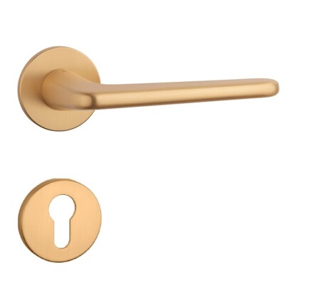 Türbeschläge MP AS - LIRA - R 5S (OLS - Gebürstetes Messing)