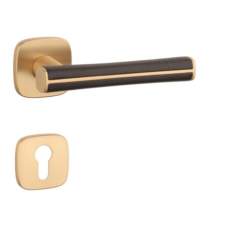 Türbeschläge MP AS - DAVIDIA - QR 7S (OLS - Gebürstetes Messing / braunes Leder)