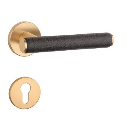 Türbeschläge MP AS - EGERIA - R 7S (OLS - Gebürstetes Messing / braunes Leder)