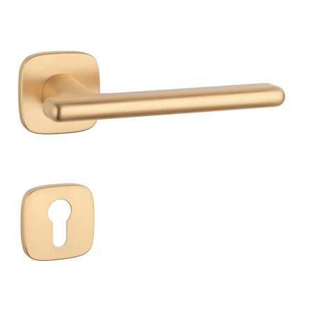 Türbeschläge MP AS - MARANTA - QR 7S (OLS - Gebürstetes Messing)