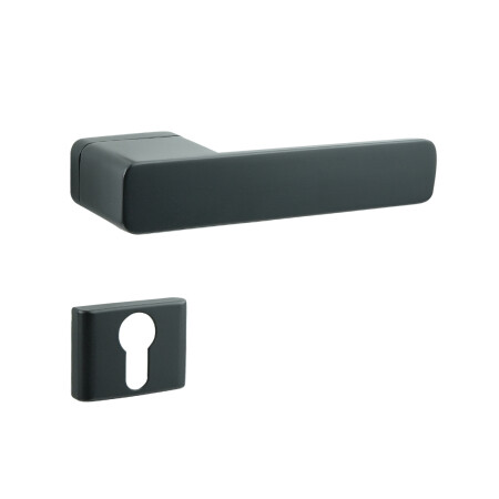 Türbeschlag COBRA STRIGA-S (schwarz)