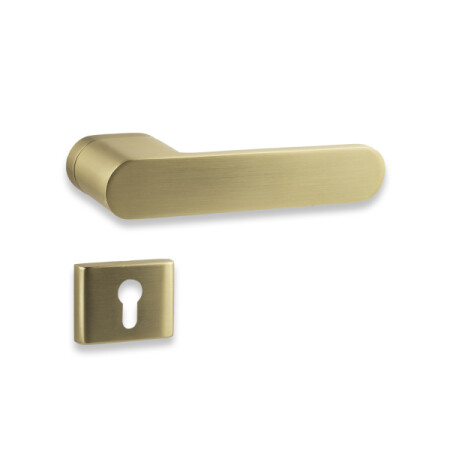 Türbeschlag COBRA OMEGA-S (gold matt)