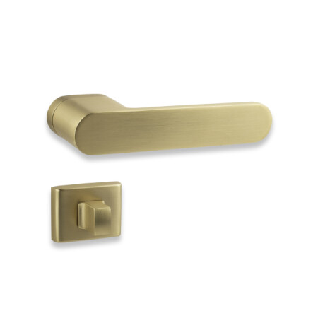 Türbeschlag COBRA OMEGA-S (gold matt)