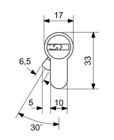 RICHTER EURO XSTAR R4 Sicherheitszylinder