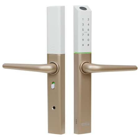Richter digitaler Türgriff DH.S3B.RP (gold)