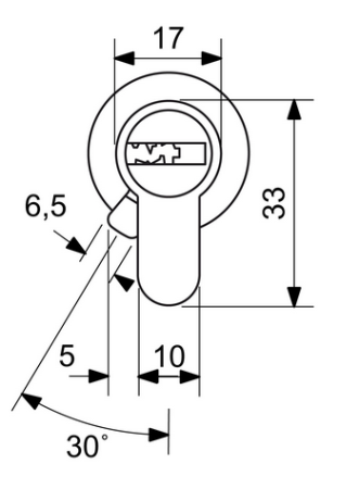 ANGEBOT RICHTER EURO XSTAR RC4 zylindrischer Sicherheitsknopfeinsatz - EXR.K50/60.NI
